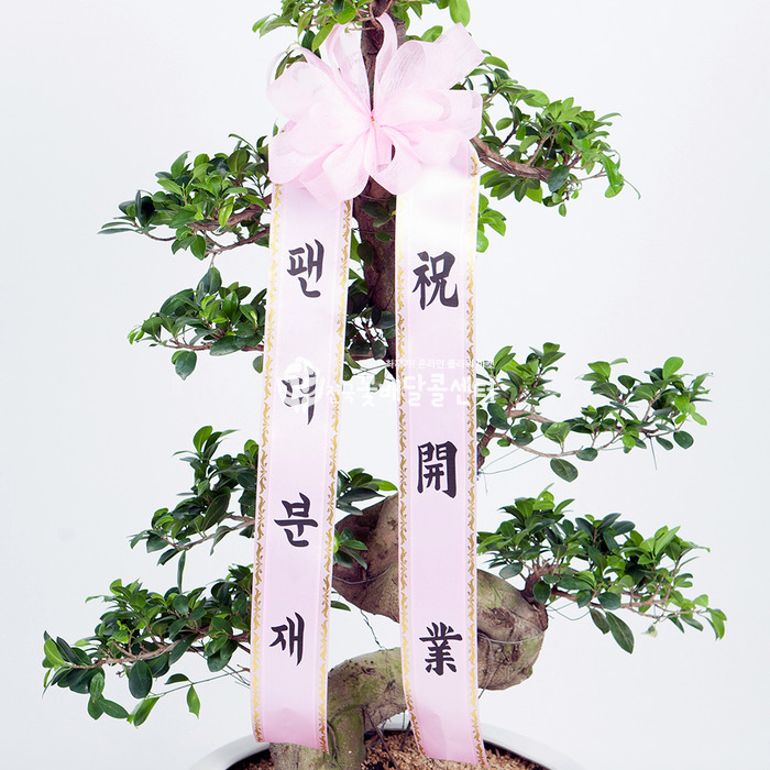 상세이미지
