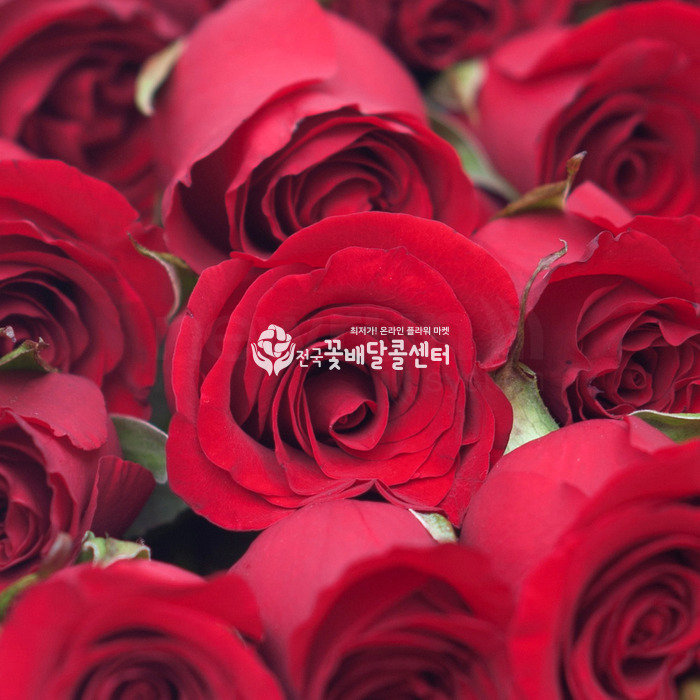 상세이미지