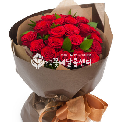 레드엔젤B