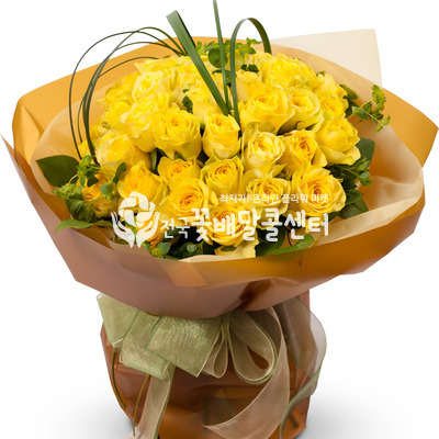 오렌지 라임