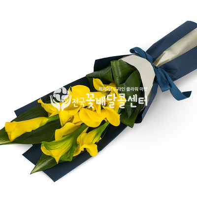 옐로우 카라 [수도권]