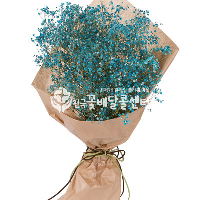 파란안개 꽃다발 [수도권]