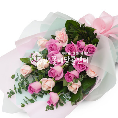 스위트 로즈