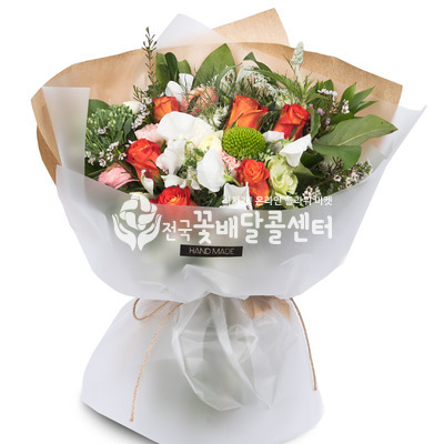안드레 [수도권]
