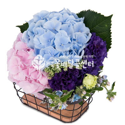 행복한 날 [수도권]