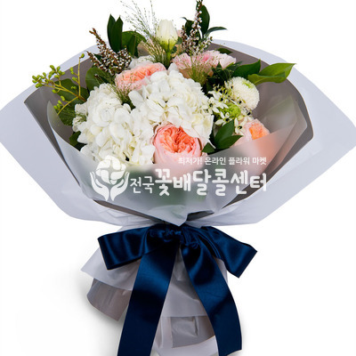 설레임 [서울예약]