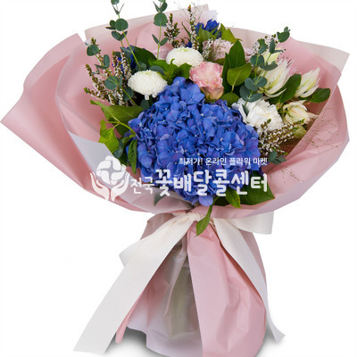 엠마 [수도권]