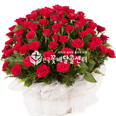 우리함께 [100송이]