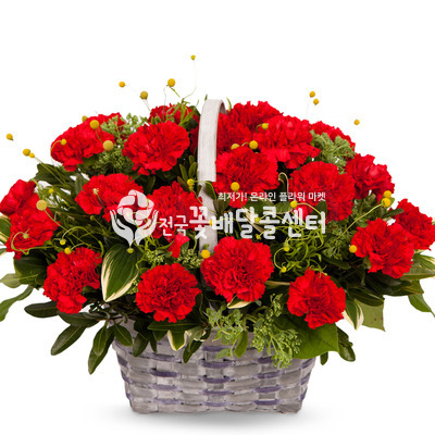 감사드립니다