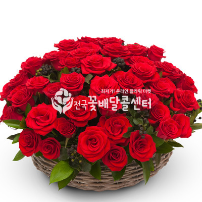 레드 50송이