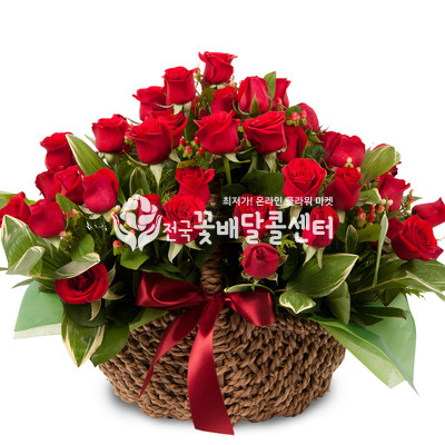 붉은 장미바구니