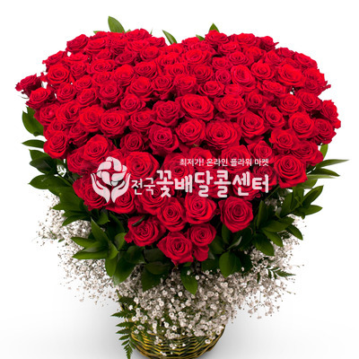 레드빛 사랑 [100송이]