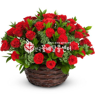 사랑 그리고...(50송이)