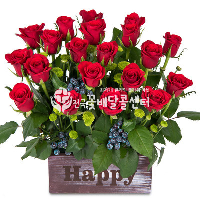 로즈천사