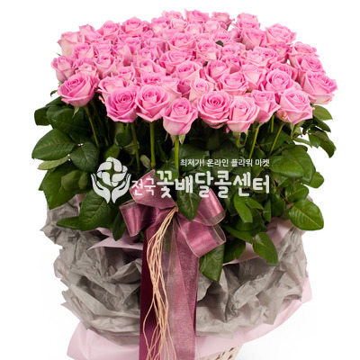 핑크장미 [100송이]