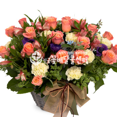 오렌지 그린 [서울]