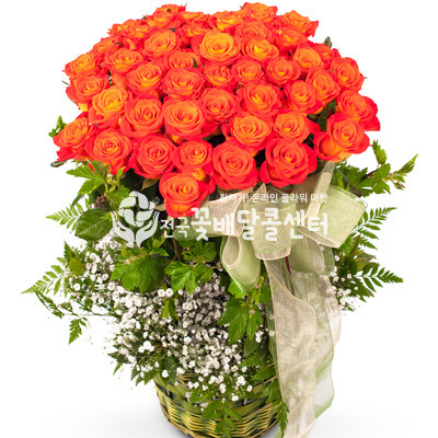 프로포즈 50송이 [수도권]