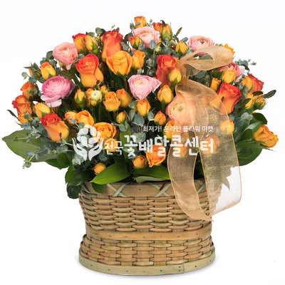 햇살 좋은날 [수도권]