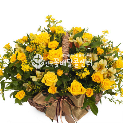 봄나들이 [수도권]