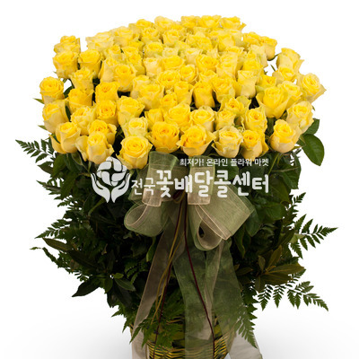 노랑장미 [100송이][예약필수]