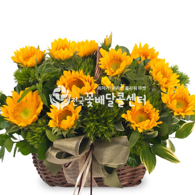 해바라기1 [여름시즌]