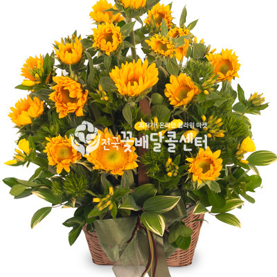 해바라기2 [여름시즌]