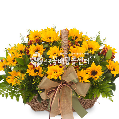 해바라기4 [여름시즌]