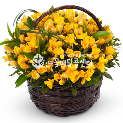 봄나들이 [봄시즌]