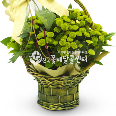 그린정원