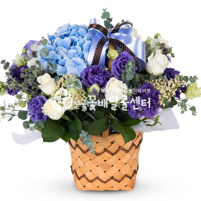 해피 바이러스