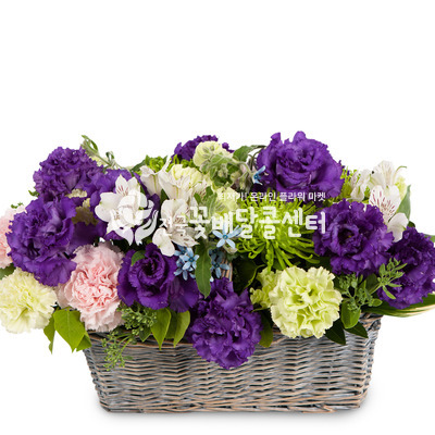 사랑하기 좋은날