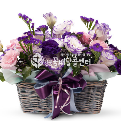 퍼플향기 [수도권]