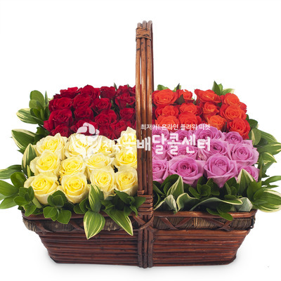 4에버 로즈