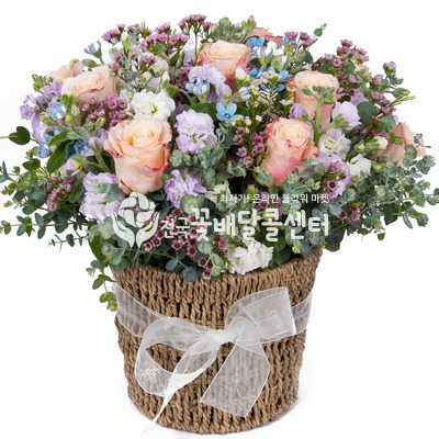 아름다운 그대에게 [수도권]