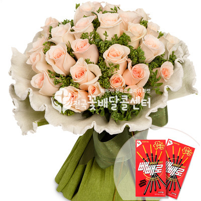 세잎 클로버