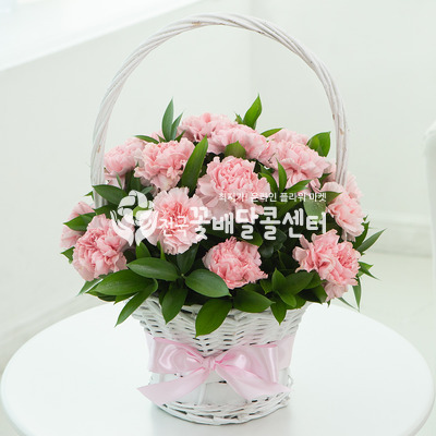 아낌없는 사랑