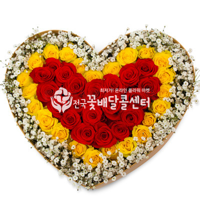 어피니티B (40송이) [수도권]