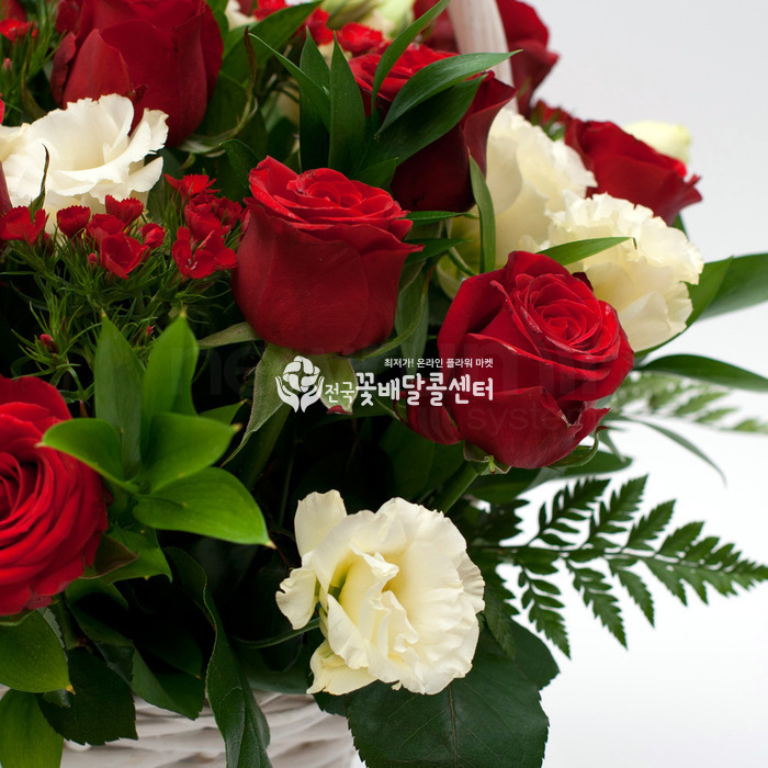 상세이미지