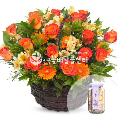 꽃행복273번