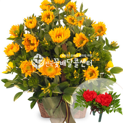 해바라기바구니1