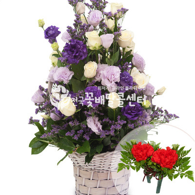 보라혼합바구니