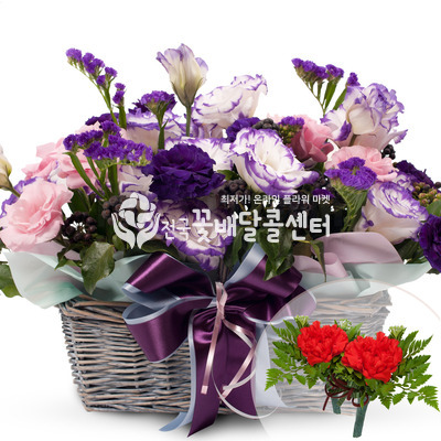 포도색바구니