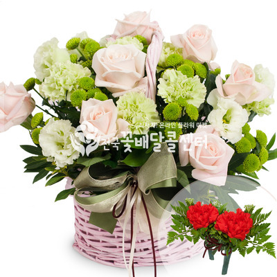 카네이션 장미바구니