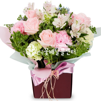 핑크 프린지 [수도권]