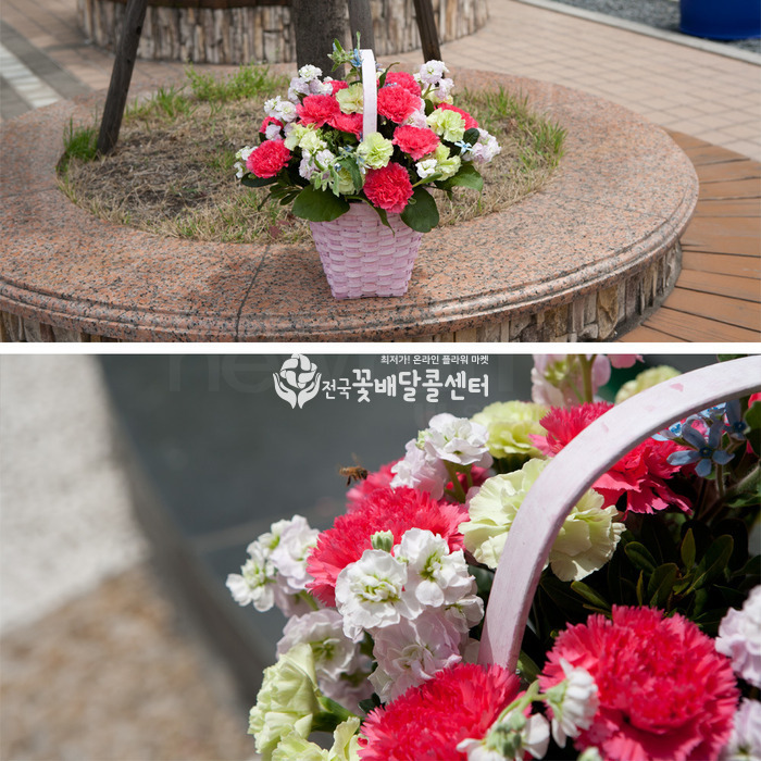 상세이미지