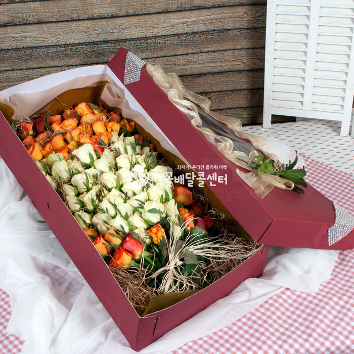 상세이미지