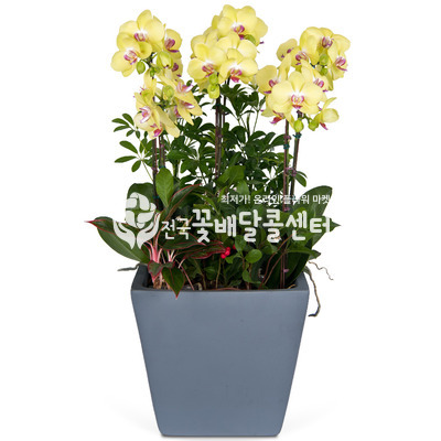 플로선셋E (FRP분)