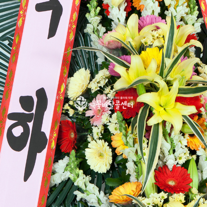 상세이미지