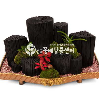 통숯분재 2호