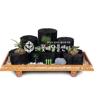 통숯분재 1호